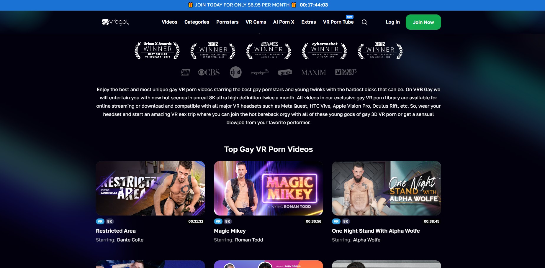 VRB Gay VR review screenshot